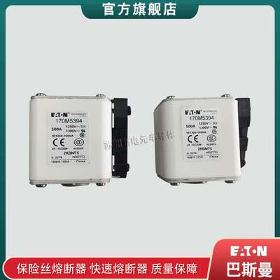 170M5394 5395 5396 5397 5398 巴斯曼bussmann快速熔断器保险丝