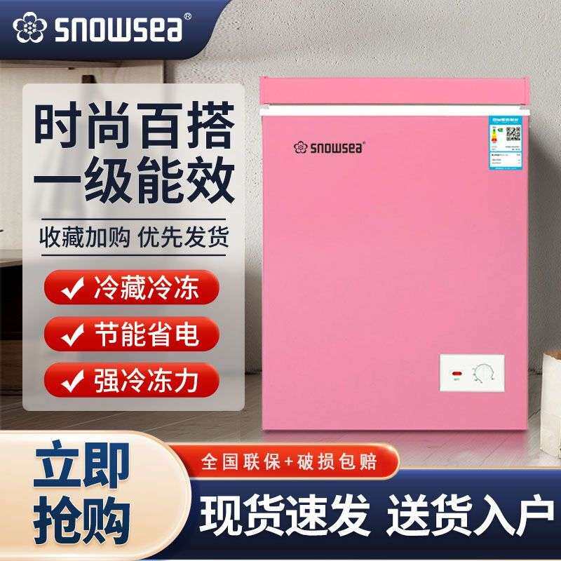 香雪海迷你小冰柜家用小型冷柜冷冻冷藏立式两用出租房宿舍大容量