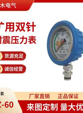 矿用双针耐震压力表BZY60T带保护套DN10综采表