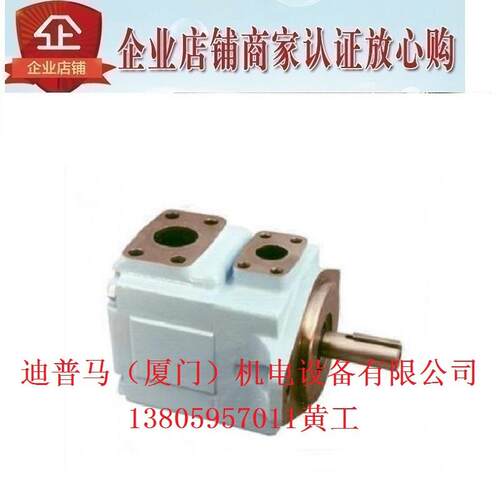 DENISON丹尼逊叶片泵T6D-035-1R01-C1 1R00 1R02 1R03 T6D-038