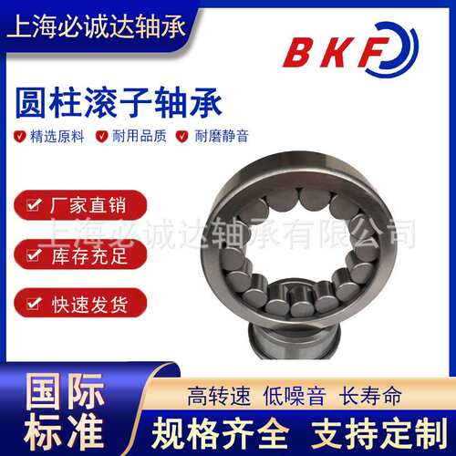 BKF圆柱滚子轴承N NJ NU NF NUP2211 2212 2213 2214 2215 2216EM