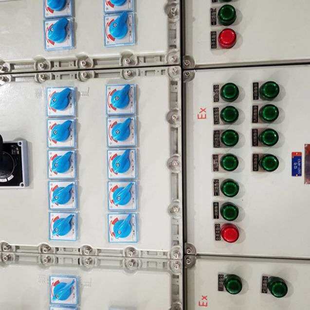 防爆空箱防爆配电箱控制箱温控箱仪表箱防爆接线箱磁力启动器,鲜花速递/花卉仿真/绿植园艺,割草机/草坪机,淘宝优惠券,粉丝福利购,淘宝优惠卷