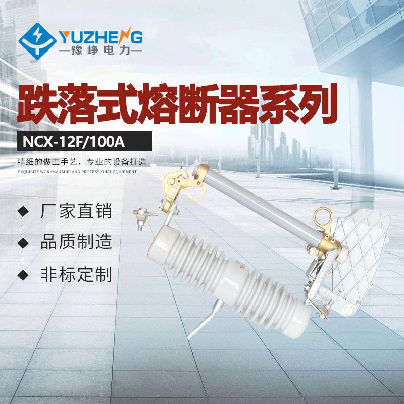ABB型令克 R-NCX-12/100A-12.5KA NCX-10/100A跌落式熔断器