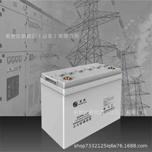 圣阳蓄电池6GFM-100 12V100AH发电厂变电站 电信通讯设备