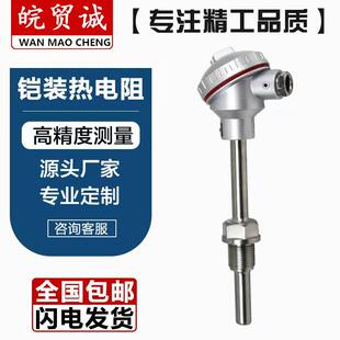供应WZPK-394铠装热电阻pt100 -200~500（℃）A/B级 热工仪表