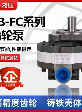 液压油泵齿轮泵CBFC20 25 32 40 50打压泵液高压齿轮泵液压机油泵