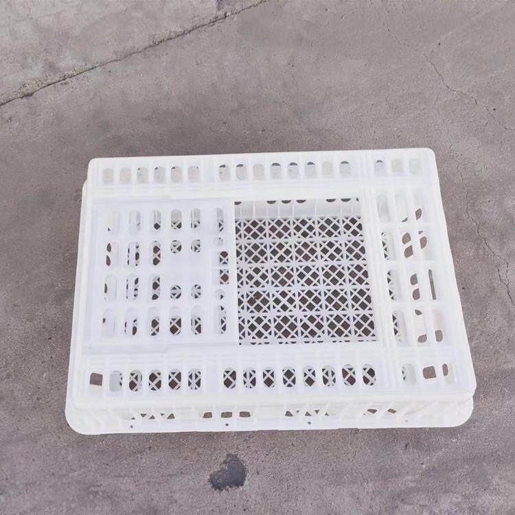 27高运鸡筐 家禽周转筐 运输鸡笼子 塑料鸡箱 鸡笼周转箱生产厂