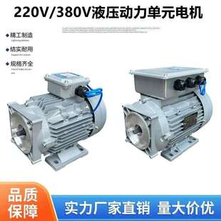 220V380V液压动力单元电机升降平台举升机电机两相三相液压泵电机