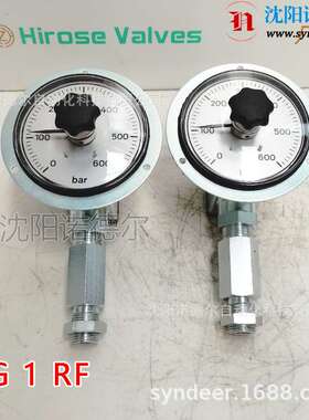 DG1RF DG1RFS DG1RS德国哈威压力继电器HAWE哈威DG1R
