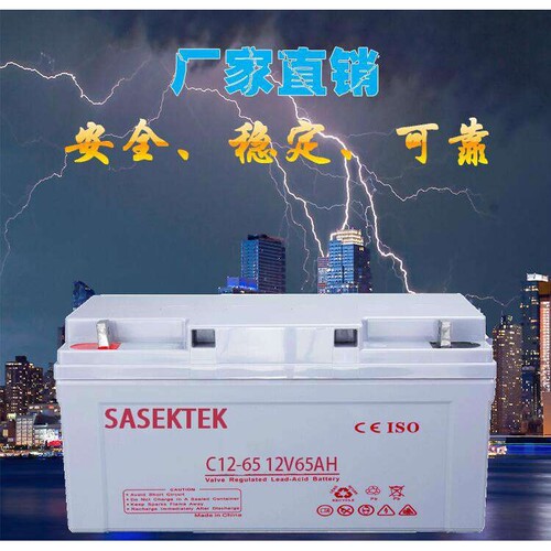 零售SASEKTEK12V 50ah铅酸免维护蓄电池upsEPS各种设备通电池