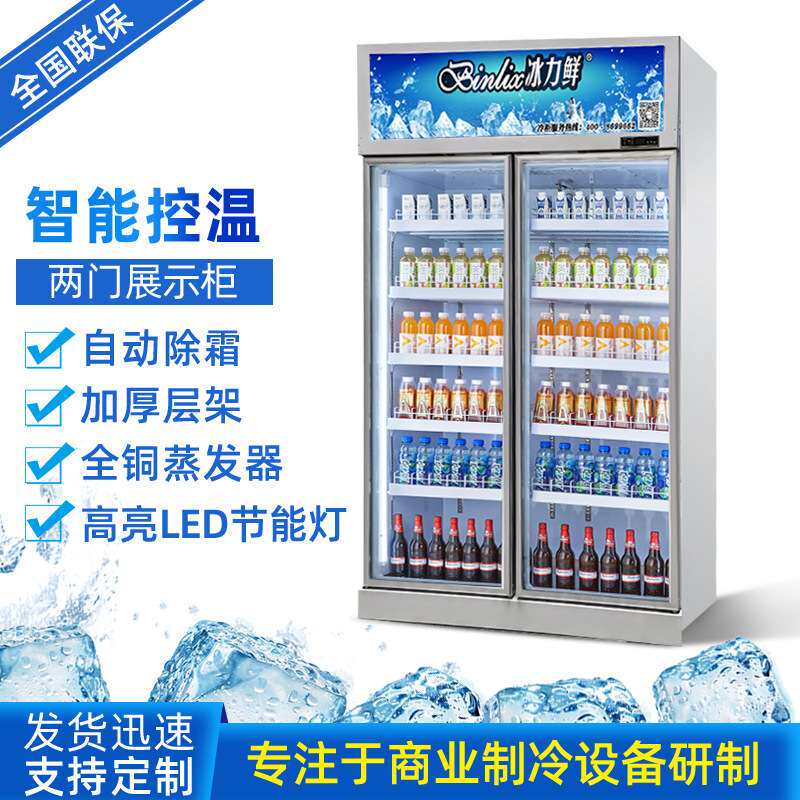 冰力鲜冷柜厂家直销促销款两门饮料展示柜商场小卖部士多饮料冰箱