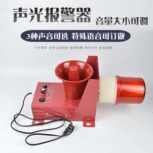 电子蜂鸣器 3天车行车声光报警器警示器