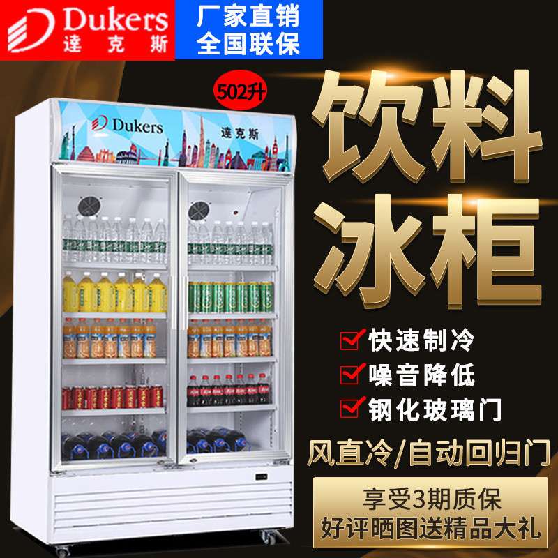 达克斯LG超市立式商用双门保鲜冷柜展示柜冷藏水果饮料大冰箱铜管