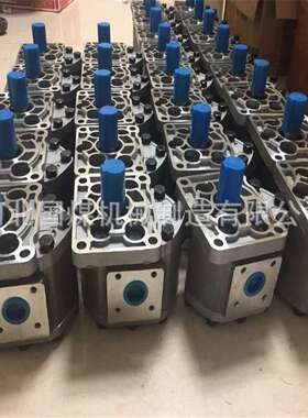 YBC20/80齿轮油泵-YBC12/125齿轮油泵