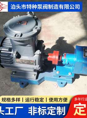 RYB电动式摆线内啮合齿轮泵注塑机高压油泵工程机械用RYB齿轮泵