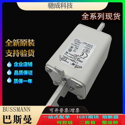 巴斯曼170M4189 170M4190 170M4191 大量现货批零兼营 快熔保险丝