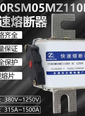 370RSM05MZ110KN/TN 690V700V900V1000V1250V熔断器DC440V/700V