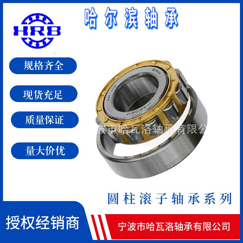 HRB N319EM 2319H 哈尔滨圆柱滚子轴承 内径95mm外径200mm厚45mm