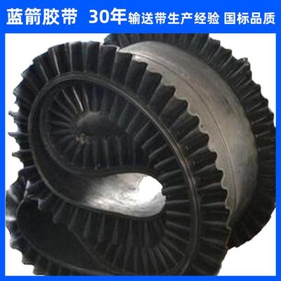 河北蓝箭厂家供应定量给料机计量环形输送带 挡板裙边输送带