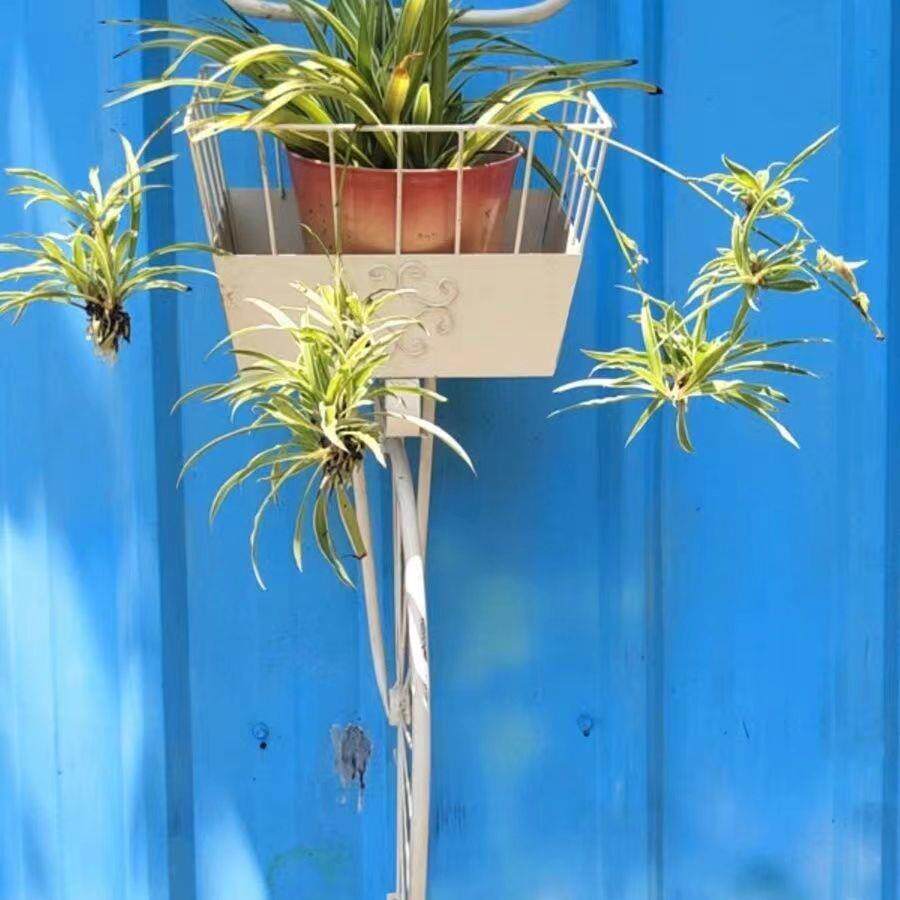 庭院铁艺花架 自行车花篮墙壁挂饰户外花园阳台墙面装饰吊篮摆件