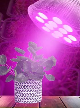 E27螺口LED育苗多肉植物par38灯12W18w补光上色红蓝全光谱生长灯