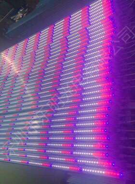 厂家LED植物生长灯管全光谱白红蓝光T8一体化植物补光灯红蓝