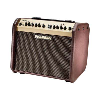 渔夫Fishman 民谣木吉他弹唱音箱 Loudbox mini 箱琴音响 拾音器