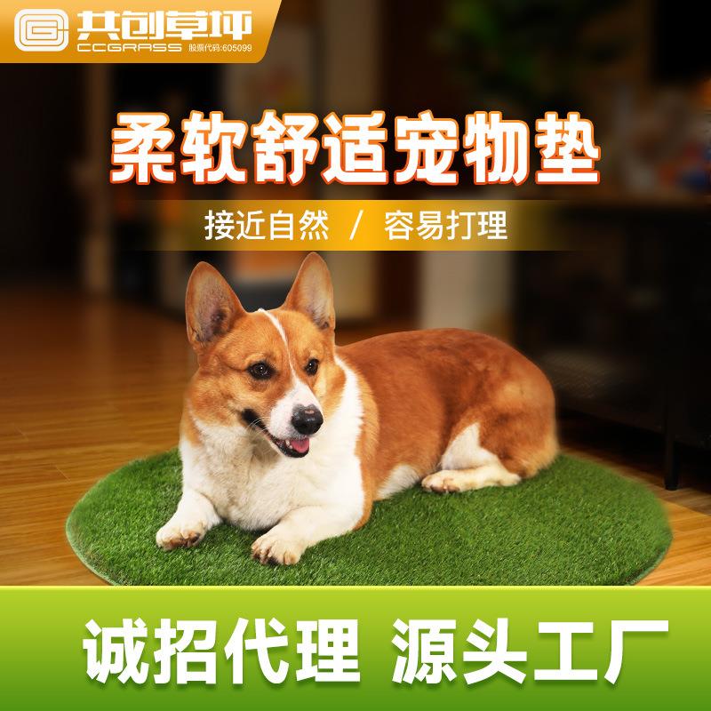 共创人造草坪仿真宠物草坪垫狗狗猫咪厕所假草皮尿垫隔热地毯防滑