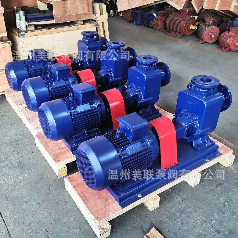 100ZX100-32清水自吸泵 不锈钢自吸泵 防爆自吸泵