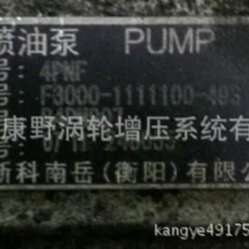 喷油泵F3000- B4PM907A3和4PM125A 和1PG301-1111100 B4PN98T10A