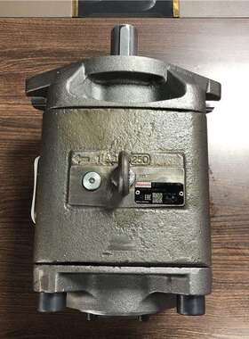 REXROTH力士乐液压齿轮泵R901147121 PGH5-30/250RE07VU2