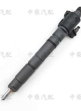 柴油机发动机高压共轨喷油器0445116013/0445116051总成