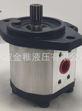 AZPN-11-032RDC07KB-S0081 齿轮泵煤矿机械用液压泵