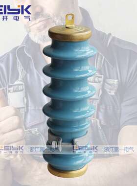 雷一Y5WS-17/50-FT蓝色陶瓷避雷器10KV高压避雷器防雷器一组价