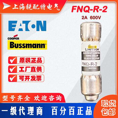 FNQ-R-2 延时保险丝 600V 2A 10X38 巴斯曼BUSSMANN熔断器