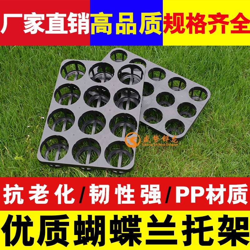 12孔15孔穴盘 托盘花卉育苗盆托架 塑料托盘育苗穴盘 蝴蝶兰托盘