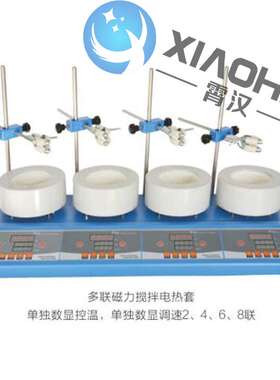 ZNCL-DLS-T 多联智能电热套磁力搅拌器两联电热套 售前售后有保障
