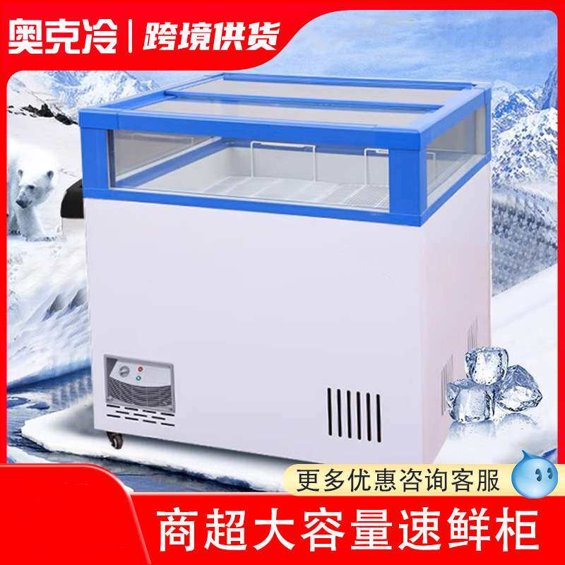 冰柜商用小型冷柜冷藏两用冰箱柜超市便利店促销牛奶雪糕酸奶冰柜