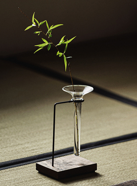 日式简约花器铁艺透明玻璃水培花瓶摆件客厅干Q花插花家居装饰花