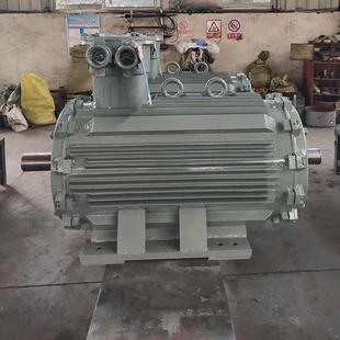 450三相异步电动机 355变频H80 YB3 EXDI防爆电机低压H80