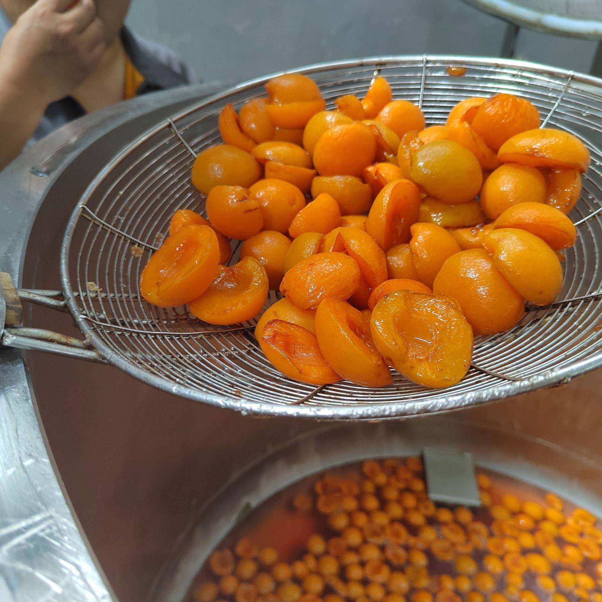 红薯干真空浸糖锅果脯蜜饯蓝莓快速渗糖设备蓝莓浸渍机组浸糖罐,厨房电器,其他商用厨电,淘宝优惠券,粉丝福利购,淘宝优惠卷