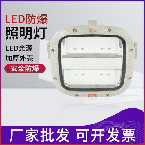 LED防爆照明灯20/30/40/50W 仓库厂房化工加油站隧道工业泛光射灯