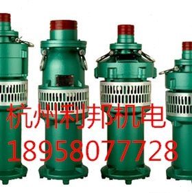 55 Q泵浸0油 农用灌溉Y泵  6寸K充W 喷泉油10式-12泵.口潜水泵-径