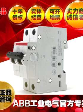 ABB交直流通用微型断路器 空开 S202M-C6UC;10117728