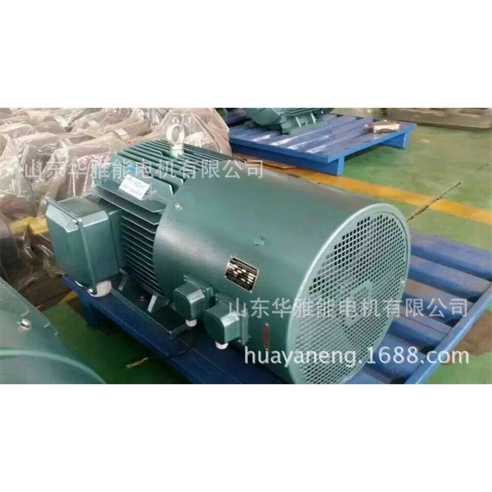 YE5-100L2-4-3电机G高原型YE5电机特制加长轴,法兰专用,带衬套