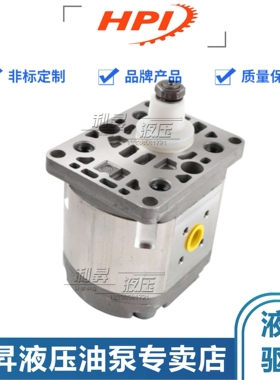 法国HPI液压齿轮泵P1BAN1001/1002/1003/1004/1005/1006油泵马达