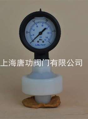 PP全塑料防腐隔膜压力表20mmDN15 4分内丝连接耐腐蚀耐震耐温80度