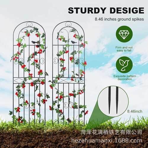 跨境铁艺爬藤架蔷薇月季庭院栅栏户外花架支撑杆铁线莲爬藤架花架