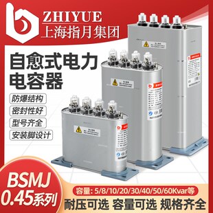 上海指月450V自愈式并联电力电容器BSMJ0.45-30-3/20/15/ 25kvar