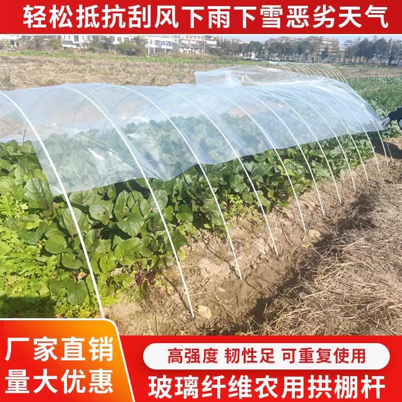 纤维棚玻璃棒大棚骨架保温棚蔬菜大花棚杆简易拱棚农用小支架弹力